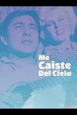 Póster de Me caiste del cielo