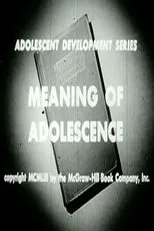 Póster de Meaning Of Adolescence