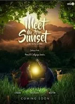 Póster de Meet Me After Sunset