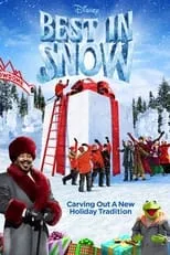 Póster de Mejor en la nieve