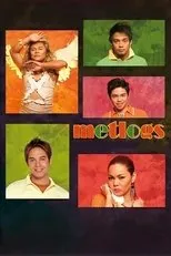 Póster de Metlogs (Metrosexual Adventures)