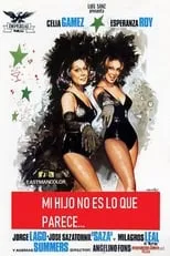 Póster de Mi hijo no es lo que parece