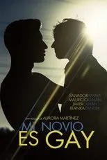 Póster de Mi novio es gay
