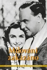 Póster de Milování zakázáno