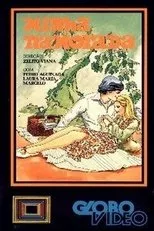 Póster de Minha Namorada
