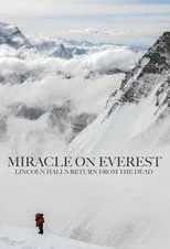 Póster de Miracle on Everest