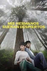 Póster de Mis hermanos sueñan despiertos