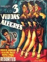 Póster de Mis tres viudas alegres