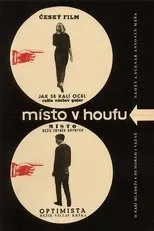 Póster de Místo v houfu