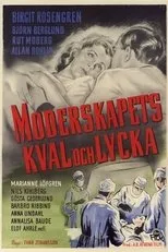 Póster de Moderskapets kval och lycka