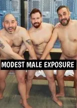 Póster de Modest Male Exposure