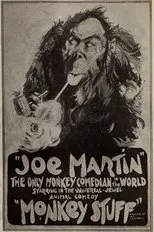 Póster de Monkey Stuff