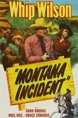 Póster de Montana Incident