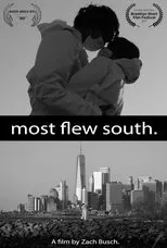 Póster de Most Flew South
