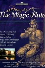 Póster de Mozart: The Magic Flute
