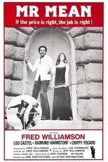 Póster de Mr. Mean