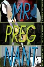 Póster de Mr. Pregnant
