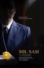 Póster de Mr. Sam