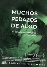 Póster de Muchos pedazos de algo