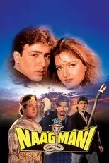 Póster de Naagmani