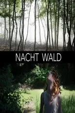 Póster de Nacht Wald