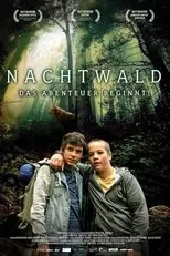 Póster de Nachtwald