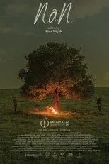 Póster de NâN