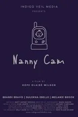 Póster de Nanny Cam
