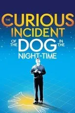 Póster de National Theatre Live: The Curious Incident of the Dog in the Night-Time