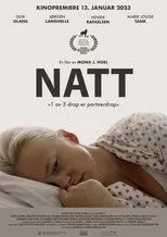 Póster de Natt