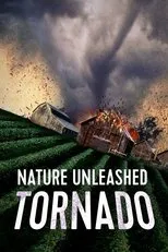 Póster de Nature Unleashed: Tornado