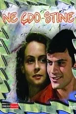Póster de Në çdo stinë