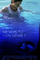 Póster de Ne vois-tu rien venir ?