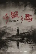 Póster de Neither Donkey Nor Horse