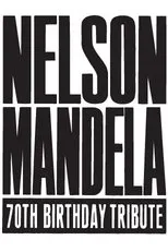 Póster de Nelson Mandela 70th Birthday Tribute