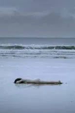 Póster de Nem a mim, nem a ti