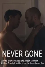 Póster de Never Gone