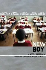 Póster de New Boy