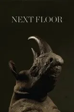 Póster de Next Floor