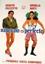 Póster de Ninguno es perfecto