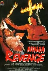 Póster de Ninja Vengeance