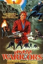Póster de Ninja Warriors