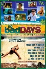 Póster de No Bad Days