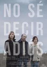 Póster de No sé decir adiós