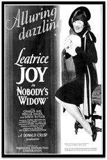 Póster de Nobody's Widow