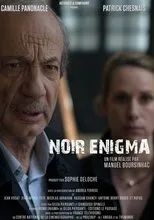 Póster de Noir Enigma