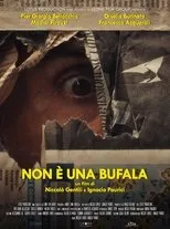 Póster de Non è una bufala