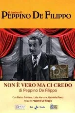 Póster de Non è vero ma ci credo