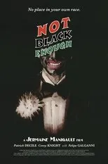 Póster de Not Black Enough
