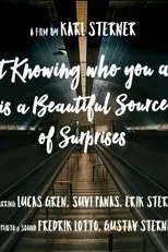 Póster de Not knowing who you are is a beautiful source of surprises